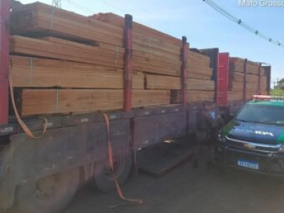 Empresa paranaense é autuada por transporte de carga de madeira ilegal em MS