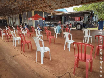 Estado registra 5 mortes por covid e possui 233 pacientes internados Estado registra 5 mortes por covid e possui 233 pacientes internados