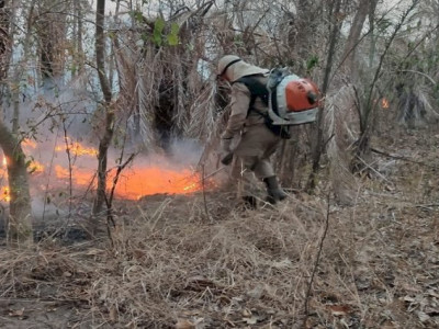 Para prevenção de incêndios, Governo Federal declara estado de emergência ambiental em MS