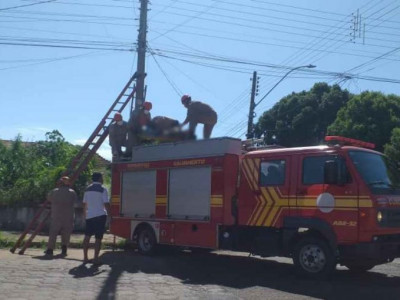 Campo-grandense morre eletrocutado enquanto trabalhava em cidade no interior de MS Campo-grandense morre eletrocutado enquanto trabalhava em cidade no interior de MS