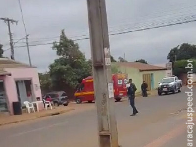 Abelhas ferem criança, matam cachorro e confusão é grande no Portal Caiobá Abelhas ferem criança, matam cachorro e confusão é grande no Portal Caiobá