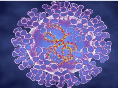 Argentina investiga primeiro caso suspeito de varíola dos macacos Argentina investiga primeiro caso suspeito de varíola dos macacos