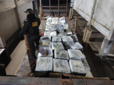 DOF apreende carga milionária de droga em meio carregamento de madeira em Ponta Porã