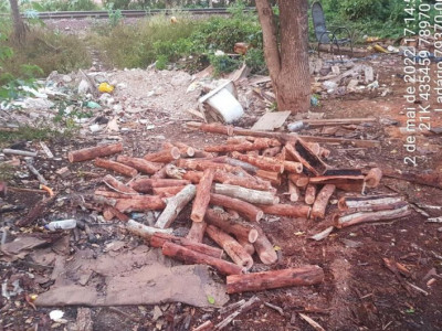 Extração de madeira ilegal com motosserra gera multa de R$ 2 mil à infrator