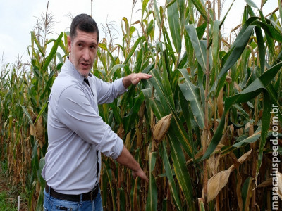 MS/Showtec - Inovação e tecnologia são apresentadas como estratégias para alavancar produtividade MS/Showtec - Inovação e tecnologia são apresentadas como estratégias para alavancar produtividade