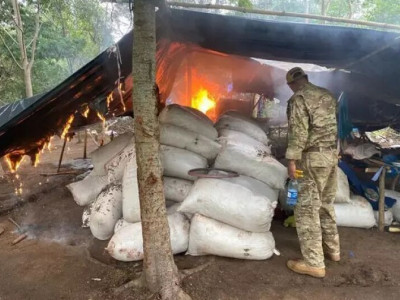 Polícia paraguaia destrói acampamentos e 38 toneladas de maconha  Polícia paraguaia destrói acampamentos e 38 toneladas de maconha