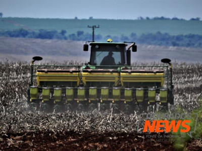 Começa hoje período de proibição do plantio da soja em MS Começa hoje período de proibição do plantio da soja em MS
