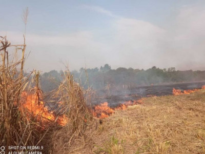 Ação conjunta extingue incêndio que ameaçava reservas nativas em propriedade rural 