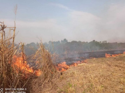 Ação conjunta extingue incêndio que ameaçava reservas nativas em propriedade rural Ação conjunta extingue incêndio que ameaçava reservas nativas em propriedade rural