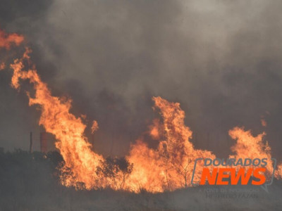 Área queimada e número de focos de calor no Estado continuam em queda