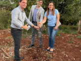 Maracaju: Casa da Amizade, Rotary e Prefeitura Municipal iniciam projeto de reflorestamento das margens ciliar do Córrego dos Bugres