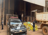 Maracaju: Polícia Civil realiza incineração de cerca de 5 toneladas de drogas