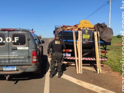 Polícia encontra quase 3 toneladas de maconha escondidas em carga de madeira Polícia encontra quase 3 toneladas de maconha escondidas em carga de madeira