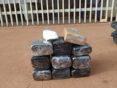 Cães farejadores encontram drogas em residência e jovem acaba preso Cães farejadores encontram drogas em residência e jovem acaba preso