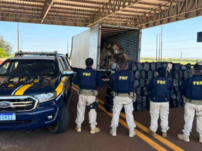 Caminhoneiro é preso transportando pistolas e droga em mudança na BR-463 Caminhoneiro é preso transportando pistolas e droga em mudança na BR-463