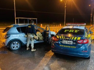 Polícia Rodoviária apreende mais de 700 quilos de maconha na BR-163 Polícia Rodoviária apreende mais de 700 quilos de maconha na BR-163
