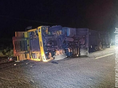 Carreta que transportava touros tomba e vários ficam feridos em Amambai Carreta que transportava touros tomba e vários ficam feridos em Amambai
