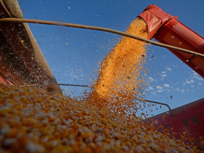 Agro e serviços resistem à proposta de reforma tributária debatida no Congresso Agro e serviços resistem à proposta de reforma tributária debatida no Congresso