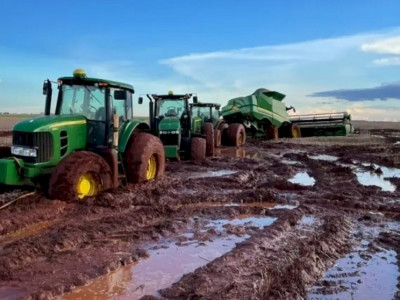 Excesso de chuva impede colheita e gera atoleiro em lavouras da região Excesso de chuva impede colheita e gera atoleiro em lavouras da região