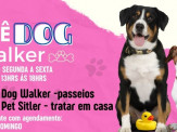 Maracaju conta com uma super novidade para seu queridinho Pet, a “Dog Walker Pet Rolê” Maracaju conta com uma super novidade para seu queridinho Pet, a “Dog Walker Pet Rolê”