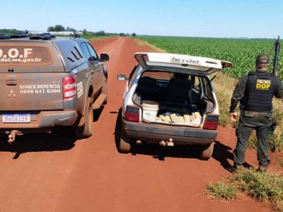 Maconha que seria vendida em Dourados é apreendida em estrada vicinal Maconha que seria vendida em Dourados é apreendida em estrada vicinal