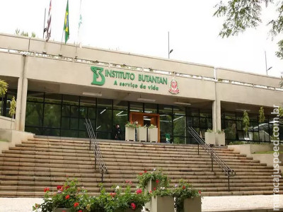 Após alerta, Butantan começa a desenvolver vacina contra gripe aviária Após alerta, Butantan começa a desenvolver vacina contra gripe aviária