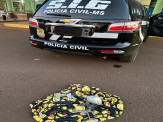 Maracaju: Policia Civil através do SIG/NRI de Dourados interceptou um lote de armas de fogo que tinha como destino facção criminosa no estado de São Paulo
