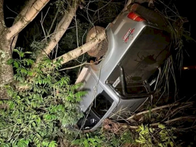 Veículo capota e vai parar fora de rodovia após atropelamento de anta Veículo capota e vai parar fora de rodovia após atropelamento de anta