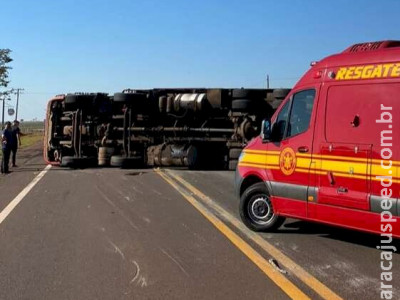 Motorista desvia de animal e caminhão frigorífico tomba em rodovia Motorista desvia de animal e caminhão frigorífico tomba em rodovia