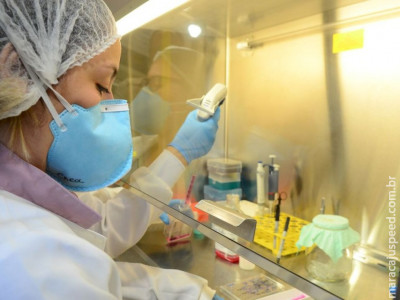 MS tem três casos em investigação por suspeita de febre maculosa MS tem três casos em investigação por suspeita de febre maculosa