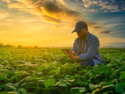 Governo Federal faz ajustes em programas de concessão de crédito rural Governo Federal faz ajustes em programas de concessão de crédito rural