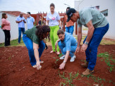 Agosto Dourado: Muda de Ipê Branco é plantada na área da futura Clínica da Mulher Agosto Dourado: Muda de Ipê Branco é plantada na área da futura Clínica da Mulher