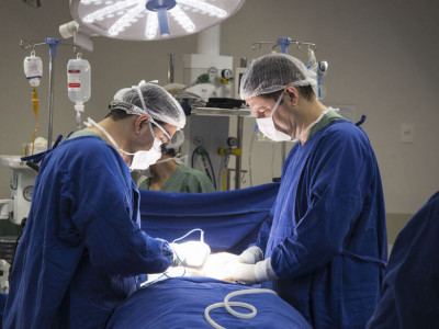Brasil fez 206 transplantes de coração no primeiro semestre deste ano