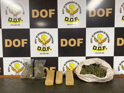 Maconha e skunk deixados às margens de rodovias são apreendidos Maconha e skunk deixados às margens de rodovias são apreendidos