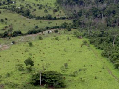 Termina nesta sexta entrega da Declaração do Imposto Territorial Rural Termina nesta sexta entrega da Declaração do Imposto Territorial Rural