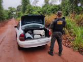 DOF apreende 250 quilos de maconha em Iguatemi em veículo adulterado