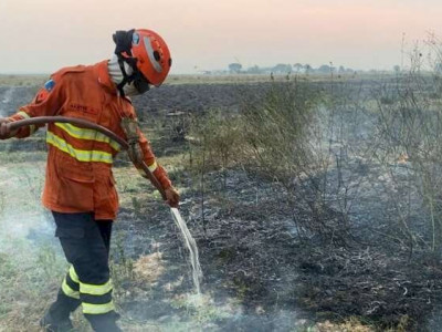 Incêndios no Pantanal triplicam em comparação com mesmo perídio do ano passado Incêndios no Pantanal triplicam em comparação com mesmo perídio do ano passado