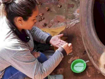 Brasilândia soma 182 casos de dengue e tem novas notificações da doença Brasilândia soma 182 casos de dengue e tem novas notificações da doença