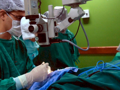 Fiocruz firma acordo que torna acessível tratar artrite reumatoide Fiocruz firma acordo que torna acessível tratar artrite reumatoide