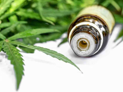 Governo de São Paulo regulamenta fornecimento de cannabis medicinal pelo SUS Governo de São Paulo regulamenta fornecimento de cannabis medicinal pelo SUS