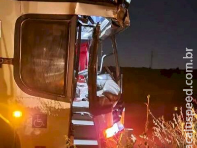 Quatro pessoas ficam feridas em acidente envolvendo dois ônibus na BR-262 Quatro pessoas ficam feridas em acidente envolvendo dois ônibus na BR-262