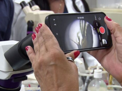 Casos de Leishmaniose crescem em Três Lagoas; uma pessoa foi infectada Casos de Leishmaniose crescem em Três Lagoas; uma pessoa foi infectada