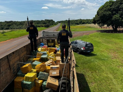 DOF apreende 8 toneladas de maconha em carreta; motorista é preso DOF apreende 8 toneladas de maconha em carreta; motorista é preso