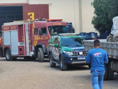 Jaguatirica assusta moradora e foge para galpão de empresa no Tiradentes