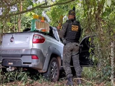 Traficante abandona picape carregada de maconha e skunk e foge pela mata