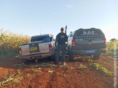 Maracaju: Camionete com placas falsas e maconha é apreendida pelo DOF Maracaju: Camionete com placas falsas e maconha é apreendida pelo DOF
