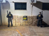 Maracaju: Veículo com mais de 900 quilos de maconha é apreendido pelo DOF Maracaju: Veículo com mais de 900 quilos de maconha é apreendido pelo DOF
