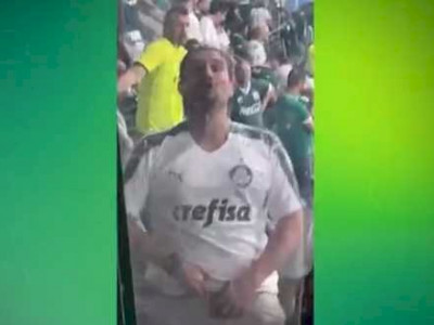 Palmeiras e polícia tentam identificar torcedor que mostrou pênis para uma botafoguense Palmeiras e polícia tentam identificar torcedor que mostrou pênis para uma botafoguense