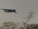 Combate às Chamas no Pantanal de Miranda: Uma Operação Conjunta de Forças Combate às Chamas no Pantanal de Miranda: Uma Operação Conjunta de Forças