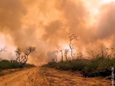 Incêndios florestais devastam o Chaco paraguaio e mobilizam autoridades Incêndios florestais devastam o Chaco paraguaio e mobilizam autoridades